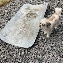 Car Oil Pan. 