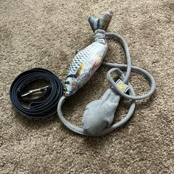 Cat Toy & Leash