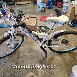 22" Mountain Bike