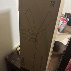 Ceiling Fan With Light 