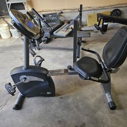 Schwinn 213 Recumbent Exercise Bike