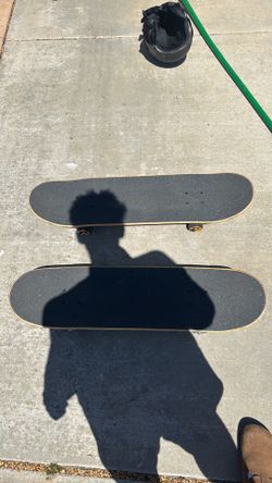 Santa Cruz Skateboard