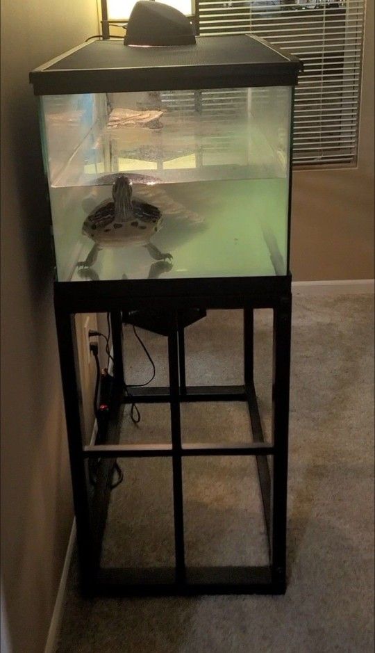 Aquarium Tank