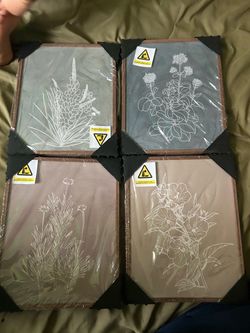 Set of 4 Botanical Framed Wall Art Prints