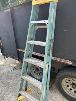Werner 6 Foot Fiberglass Ladder