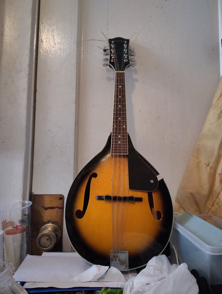 Appalachian Mandolin