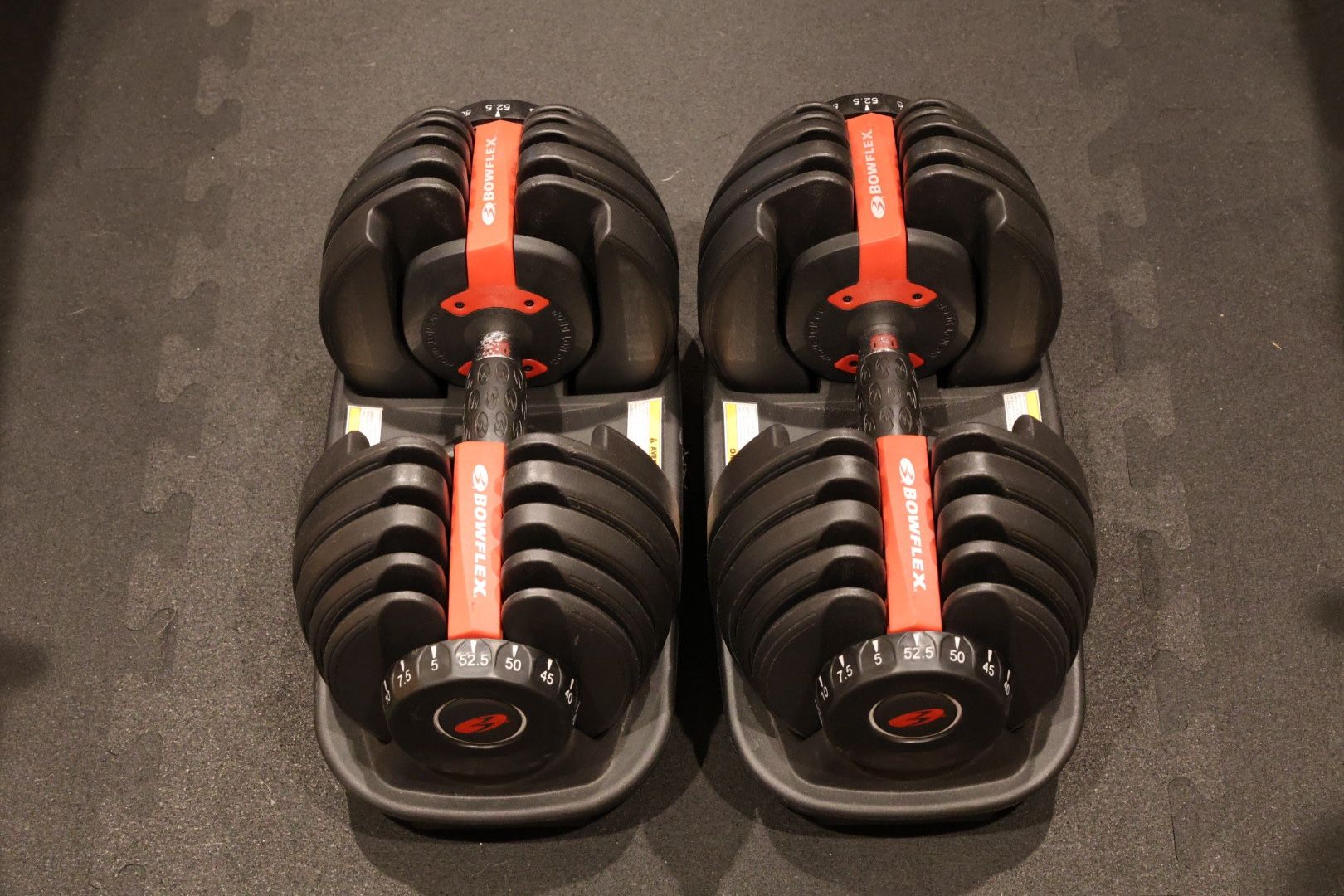 BowFlex Adjustable Dumbbells