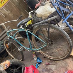 Schwinn Beach Cruiser