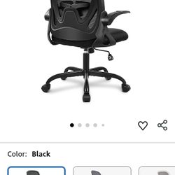 Primy Ergonomic Desk Chair