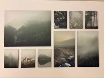 IKEA - PJÄTTERYD Picture, set of 9, Mist in the forest, 70 ½x44 "