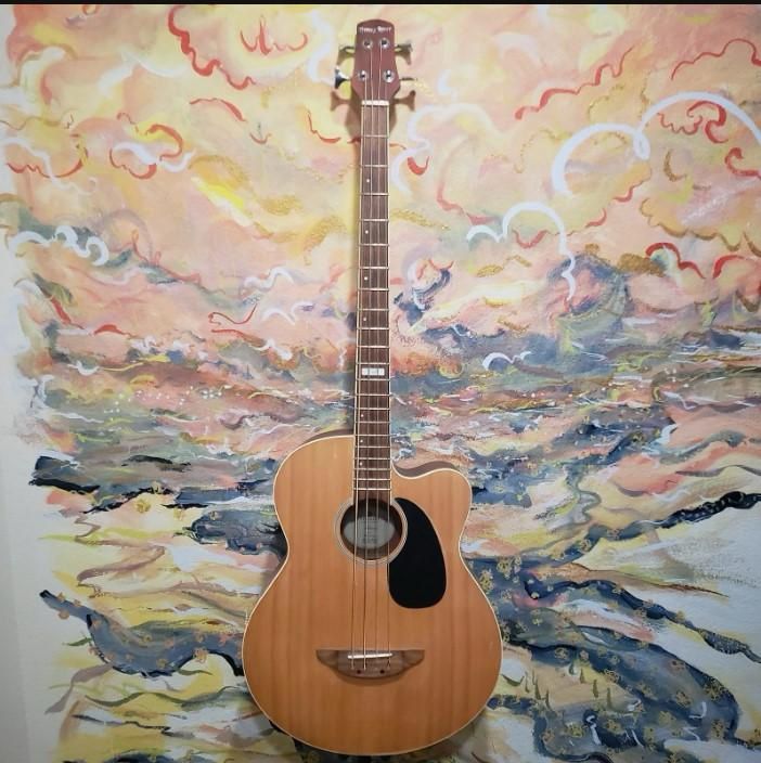 Stenzler Acoustic Guitar
