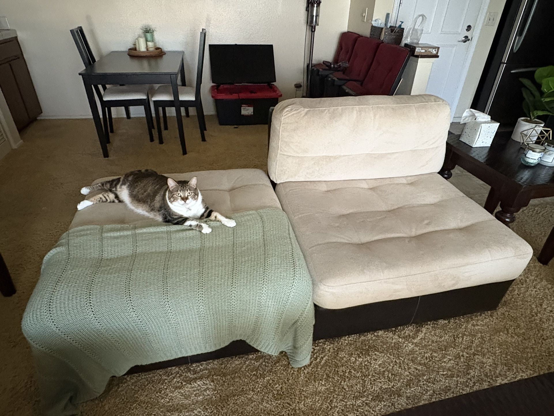 Couch/Sectional Pieces