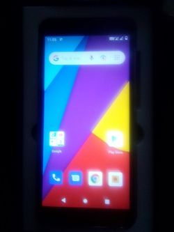 Government Phone