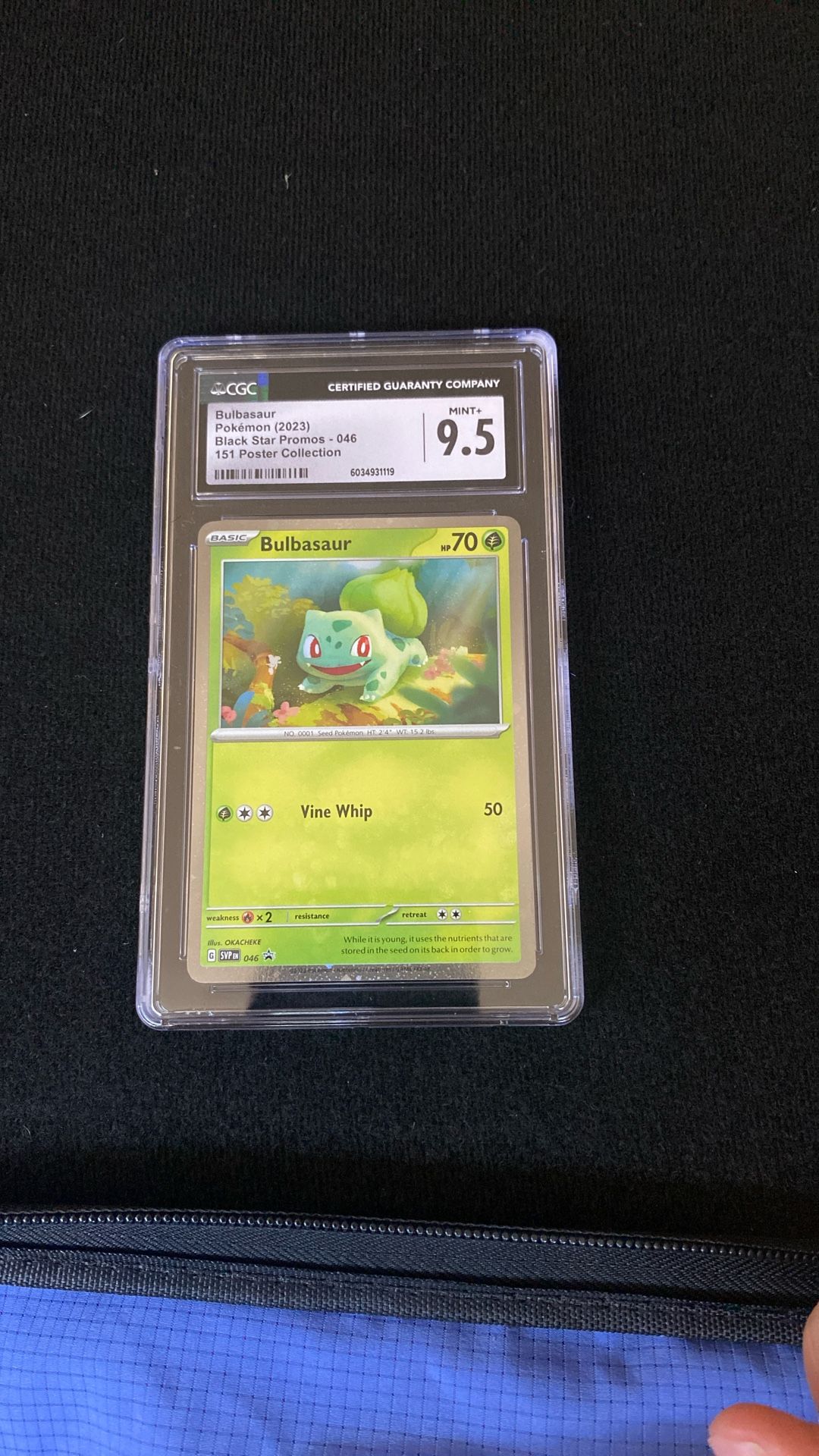 Pokemon Bulbasaur