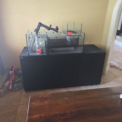 Red Sea 175 Gal Fish Tank Apex Automated 