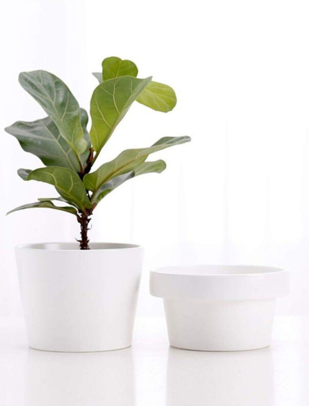 White Ceramic Flower Pot, Modern Planter, Ceramic Plant Pots, Plant Pot, Modern Planter Planting Pots, Succulent Pot, Pot for Plants, Rare Canary