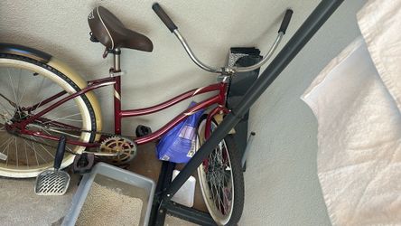 Bike cruiser