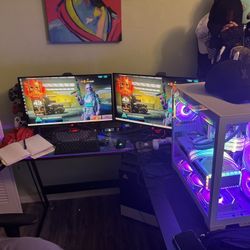 Computer / 2 Monitors 