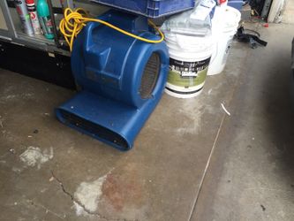 Carpet blower