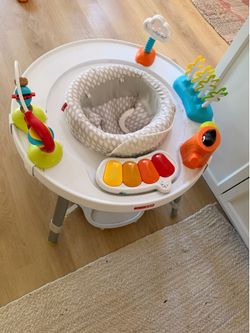Skip hop activity center