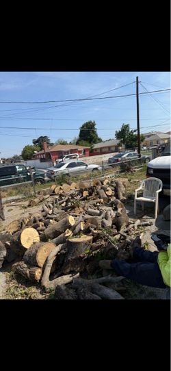 🔥 FREE FIREWOOD — FIRST COME FIRST SERVE 🔥