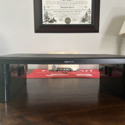 Raised Monitor/Laptop Stand 
