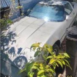 1984 Chevrolet Corvette