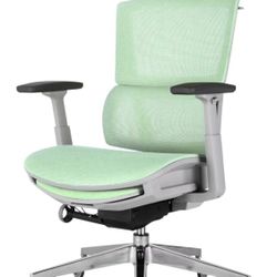 New Ergonomic Office Chair in Mint
