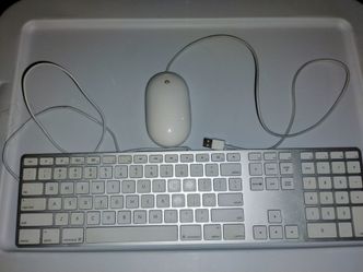 Apple Aluminum Keyboard + Apple Mighty Mouse Bundle – Tested & Working – $40**