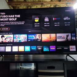 Vizio 50 Or 55 Inch Smart TV