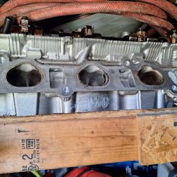 Lexus Head