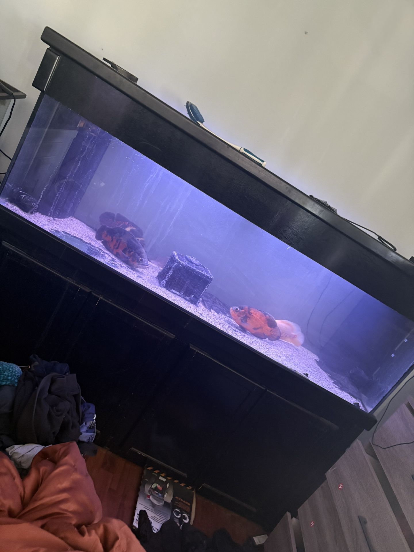 150 Gal Aquarium