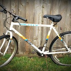 M/L Mountain Bike Motiv Stone Grinder Shimano 21-Speed!