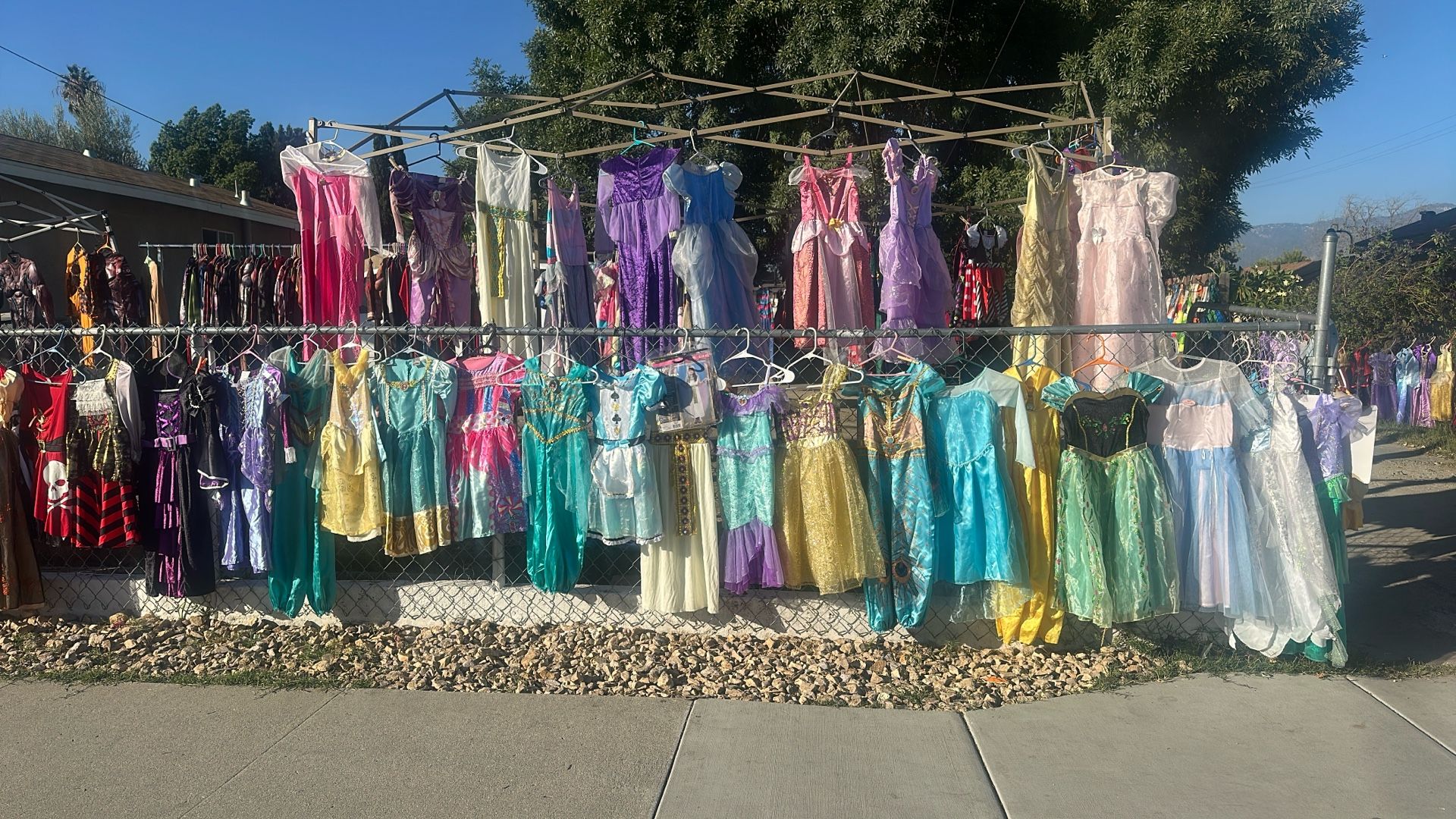 Halloween 🎃 Costumes.   Not Free 