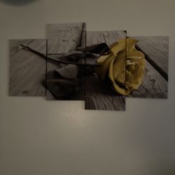 Rose Picture 