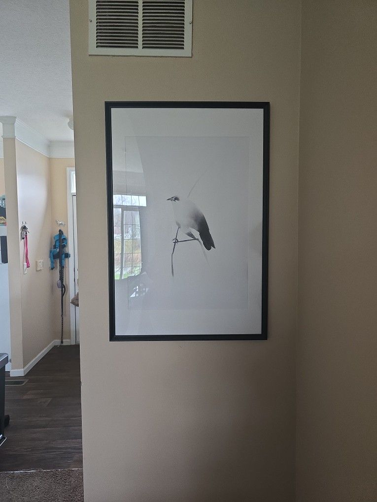 Large Framed Art Of Bird