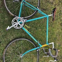 60cm Shogun Selectra road bike Firm Price Cash Only 
