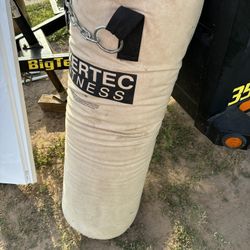 Punching Bag