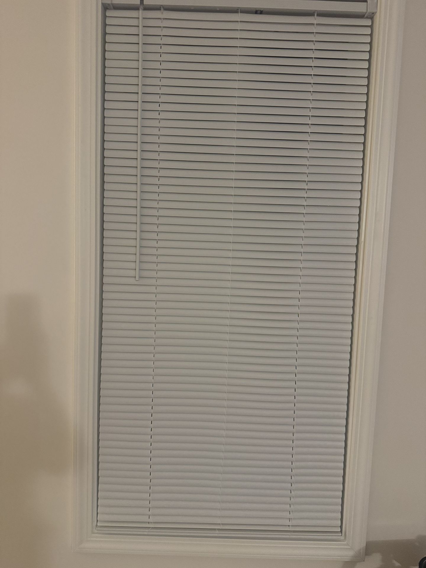 CORDLESS BLINDS (29X60) ($8.00 each)
