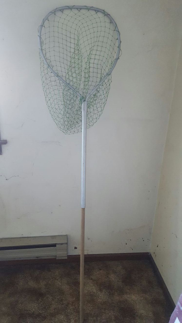 Fishing net with pole
