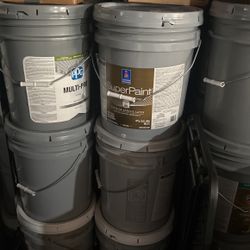 Paint Sell Selling Paint 5 Gallons 