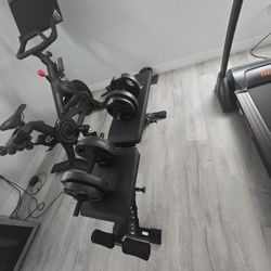 Weight Bech For Home Gym With Weights