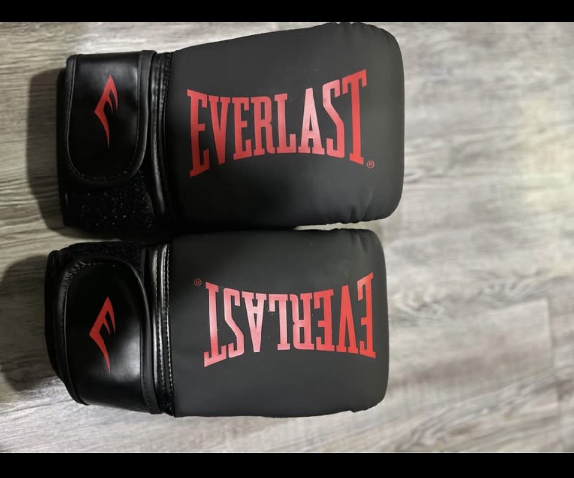 Everlast Gloves