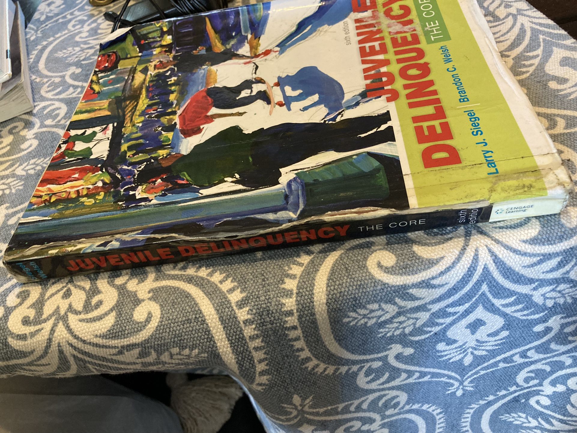 Juvenile Delinquency 6th Edition