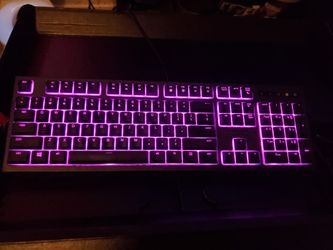 Razer ornata chroma/ Rival 310 ergonomic esports mouse