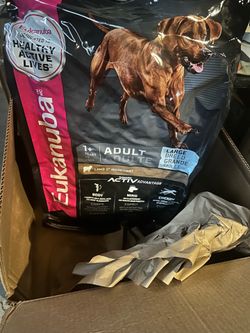 Eukanuba Large Breed Adult