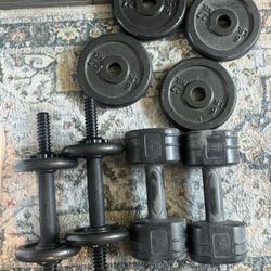 Gym Dumbbells