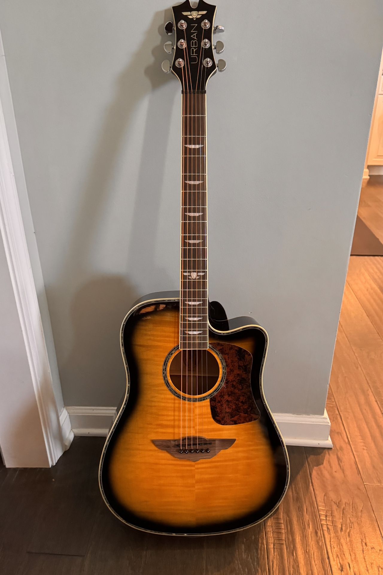 Keith Urban Yamaha Guitar With 39 Lessons