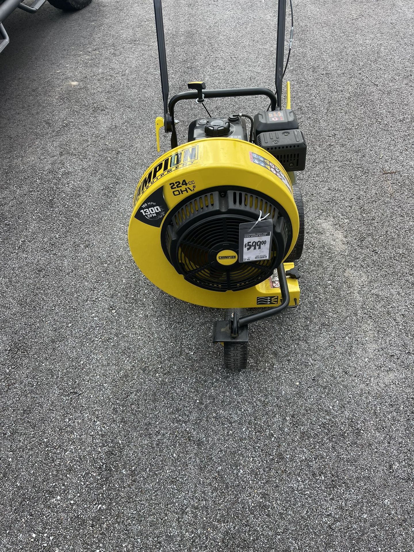 Champion gas leaf blower