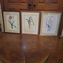 SET OF THREE Floral Decorative Framed & Matted Prints